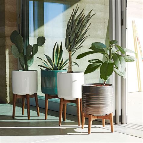 West Elm indoor planters